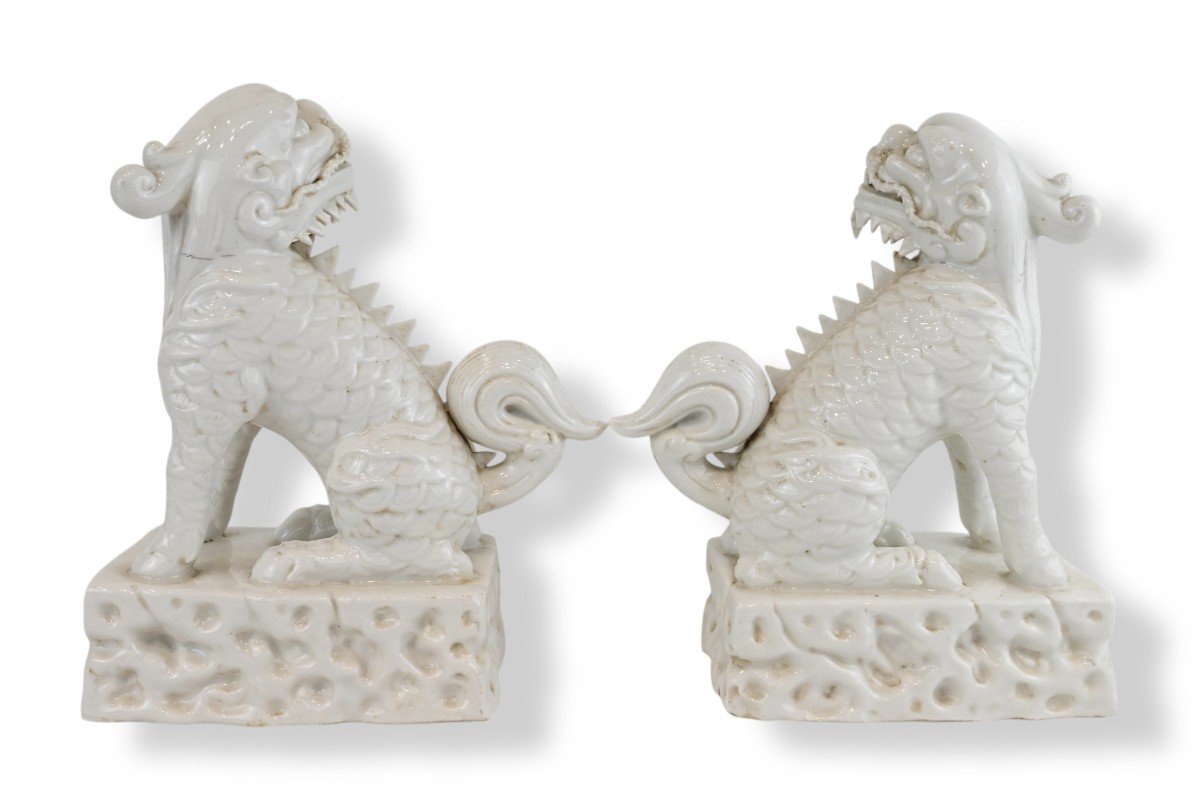 Pair Of Fo Dogs In White Porcelain From China - China Early 20th Century-photo-1